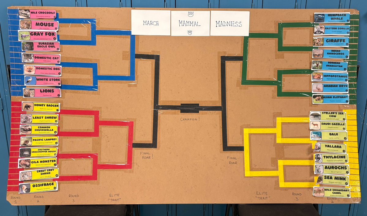 Kristin Daley Conti tweet media