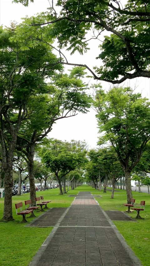 Professor tweet media