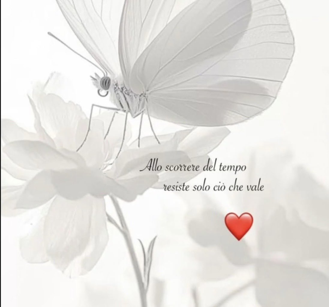 Enza Retrosi tweet media