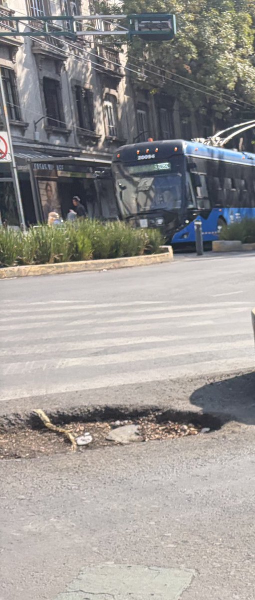 Reportandocdmx👀 tweet media