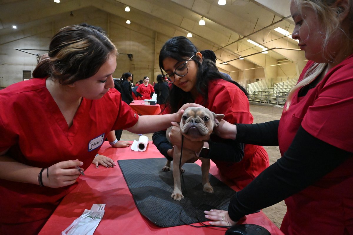 Fresno State JCAST tweet media