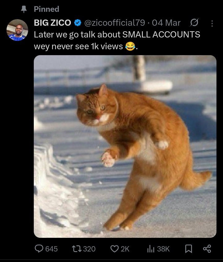 DevIn Progress tweet media