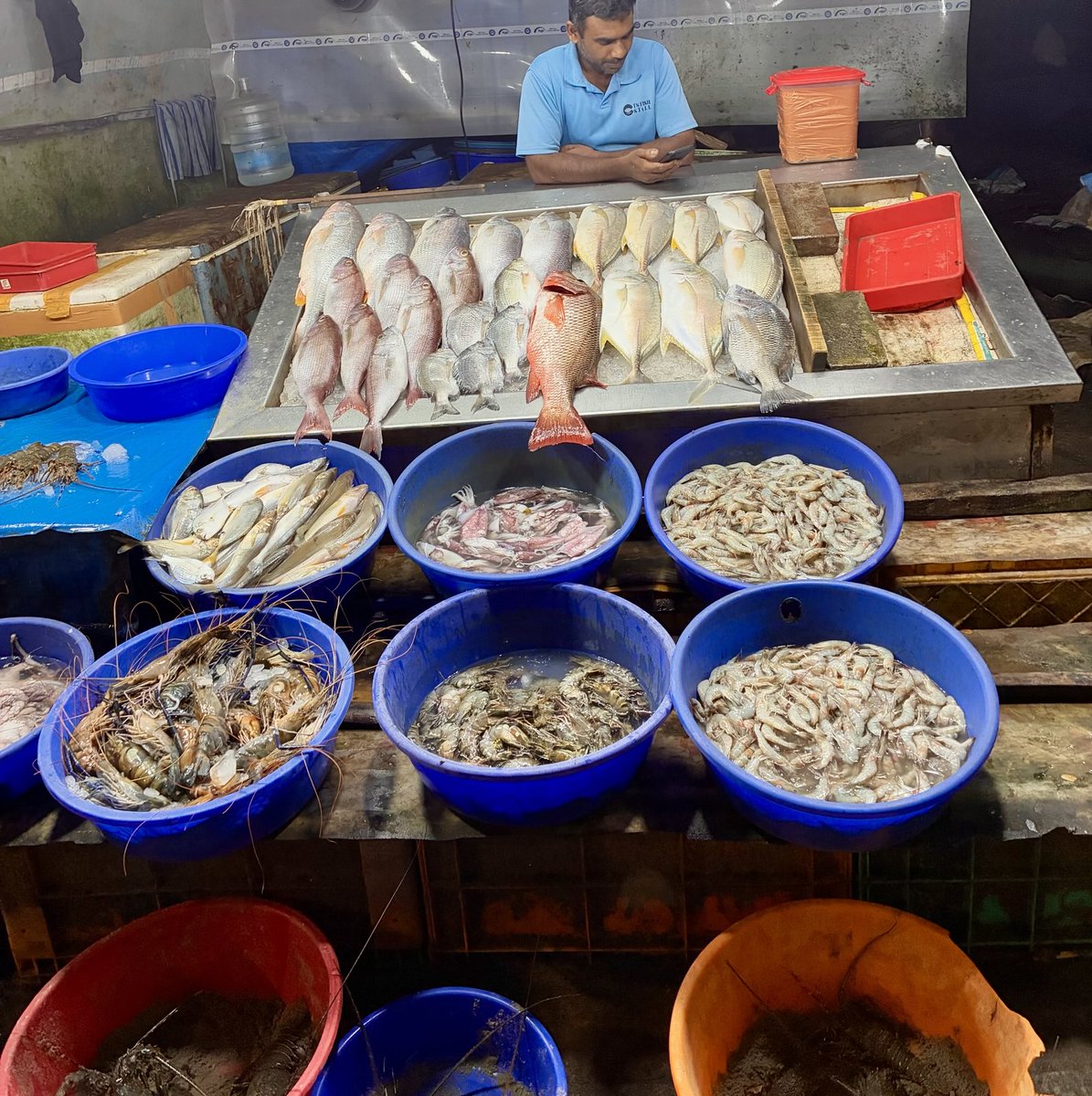 shrabanmegh's tweet image. মাছ-পথের গল্প... #KochiPort