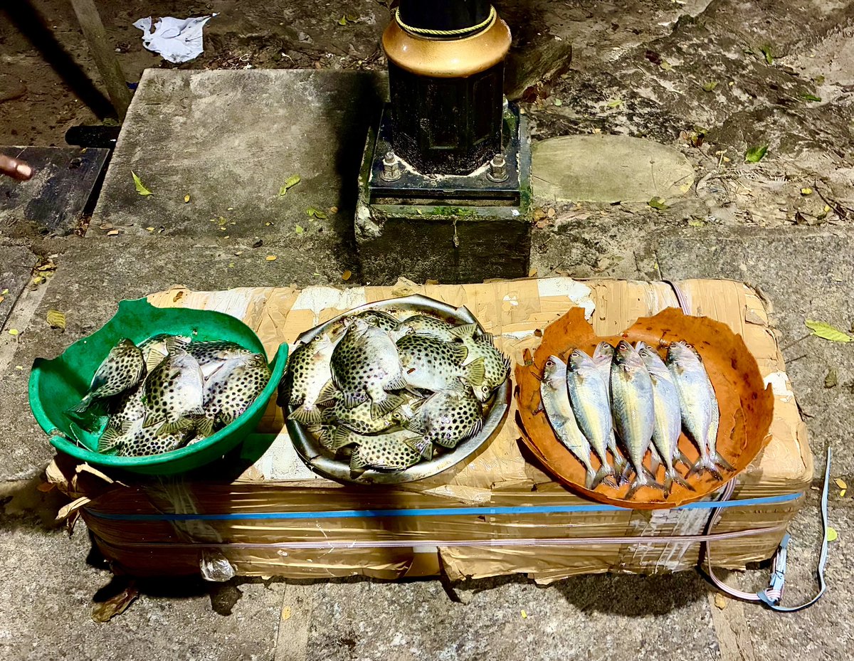 shrabanmegh's tweet image. মাছ-পথের গল্প... #KochiPort