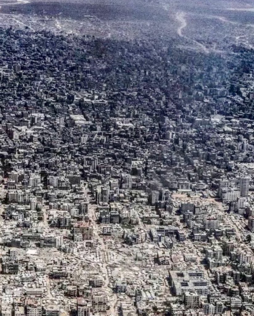 The Political Bitcoiner tweet media