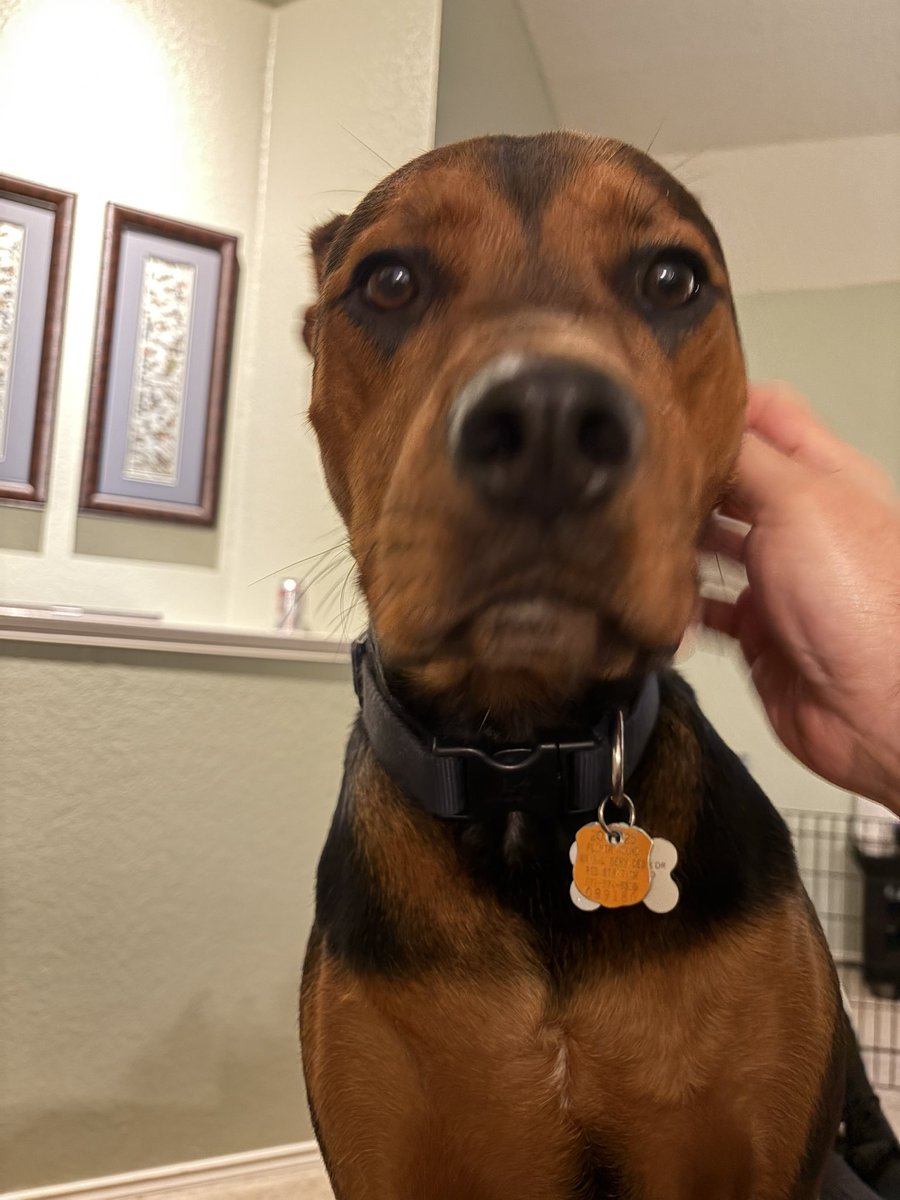 TechOperator tweet media