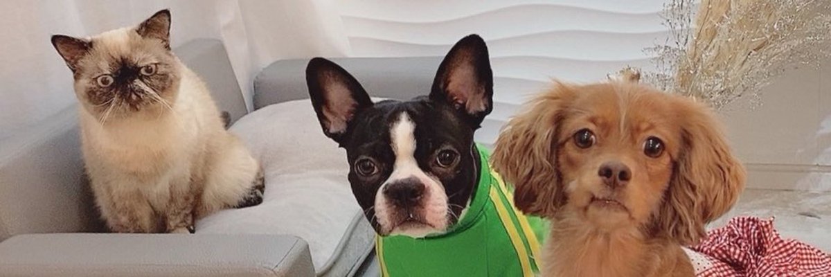 どうでもいいけどヘッダー可愛すぎ