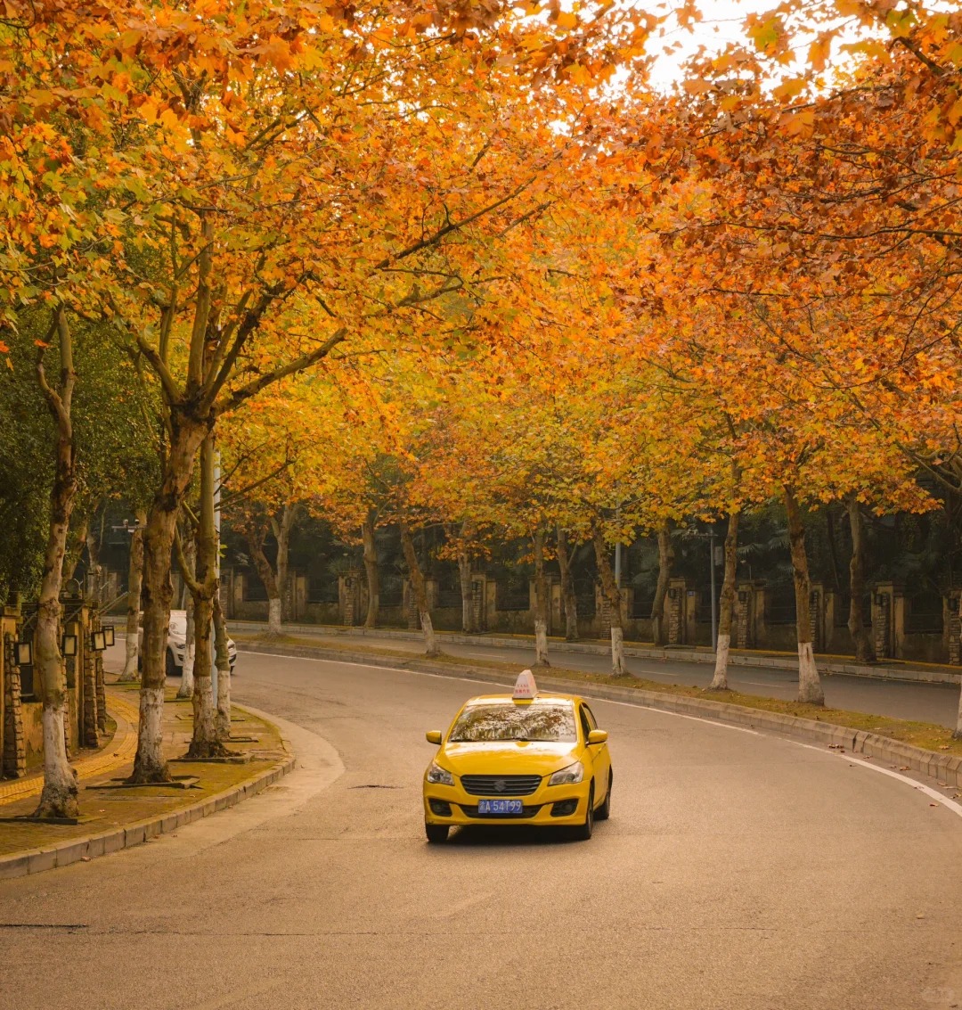 Tina Schuelke tweet media