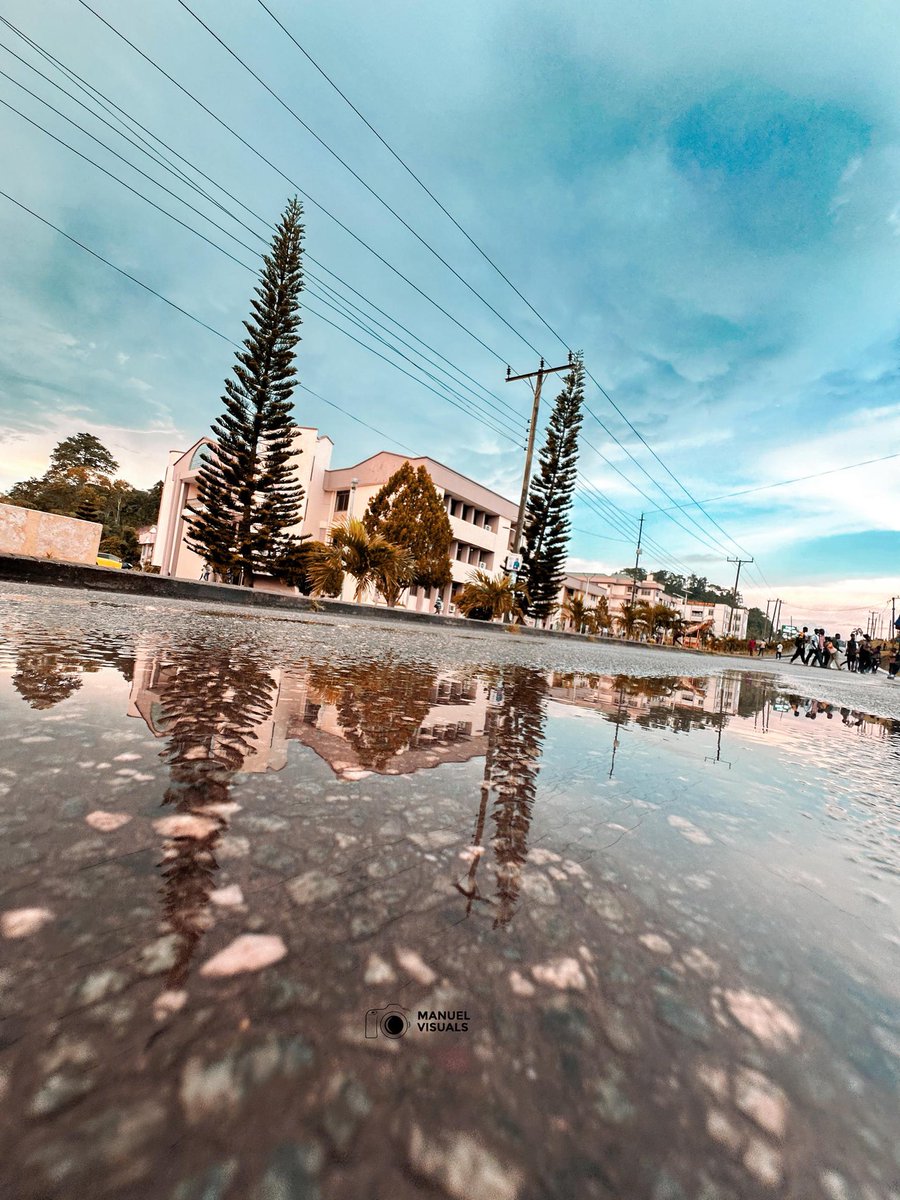 UMaT.Today tweet media