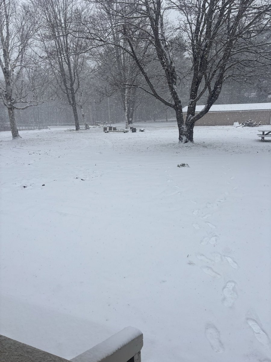 Charlie Woods tweet media