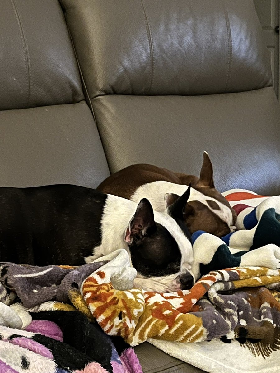 The Professor tweet media