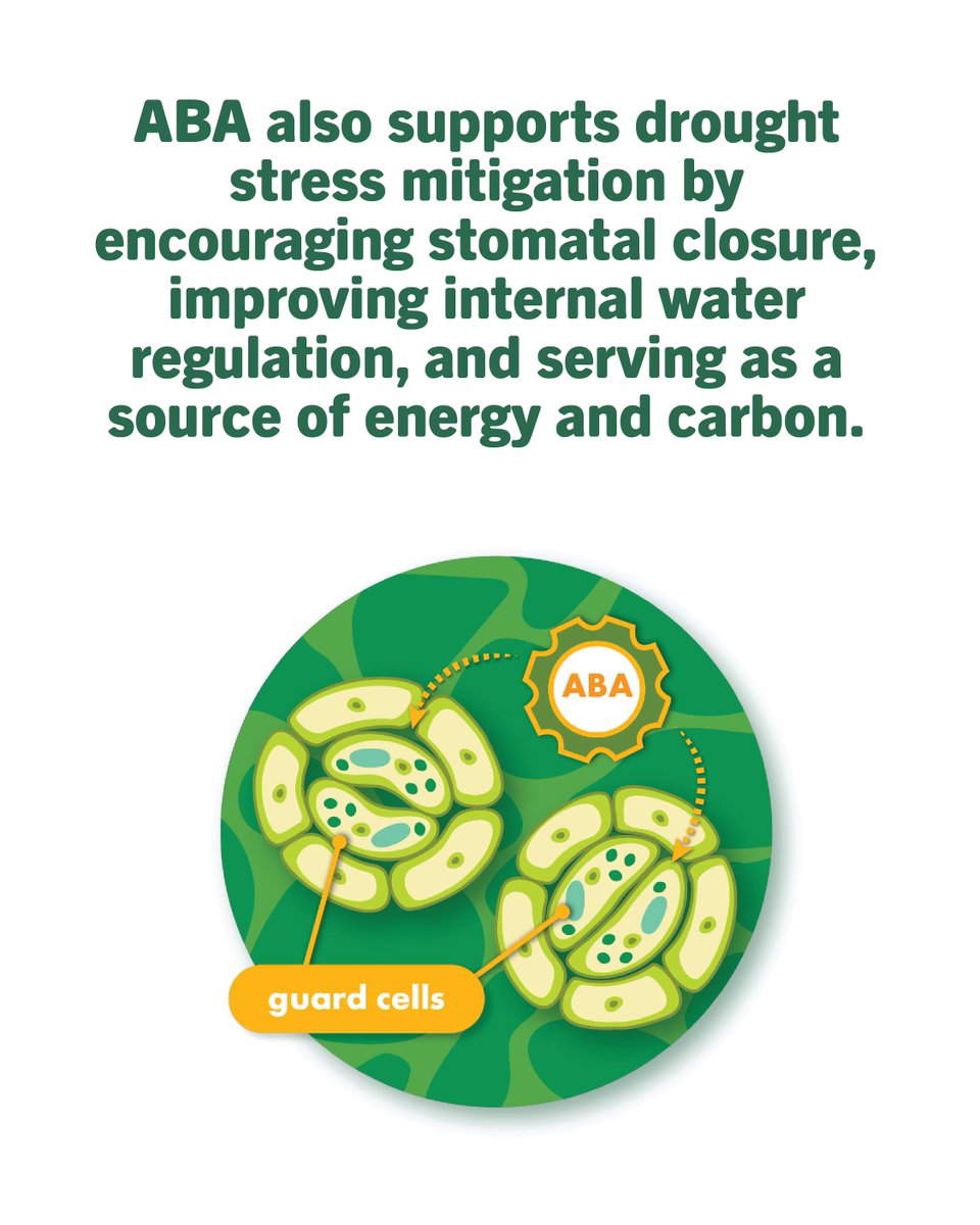 ValentBioStim tweet media