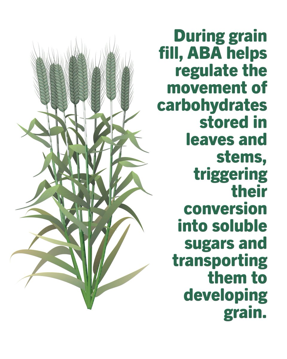 ValentBioStim tweet media