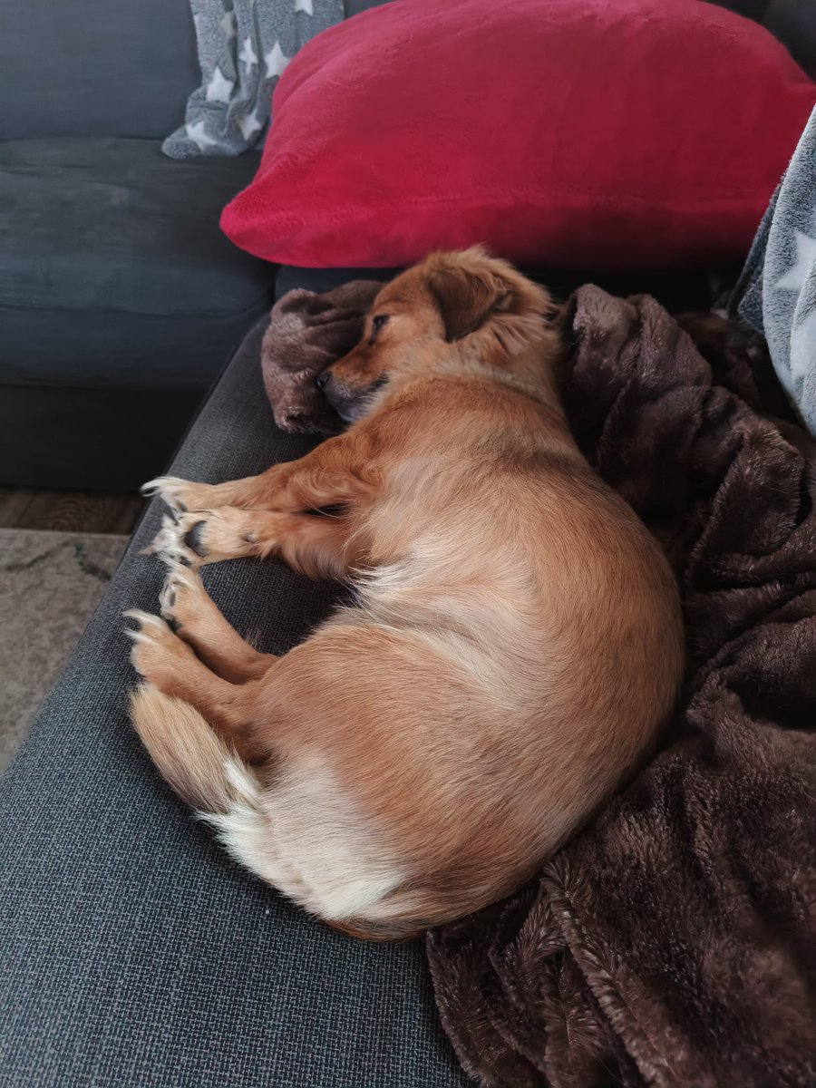 Jussi Andelin tweet media