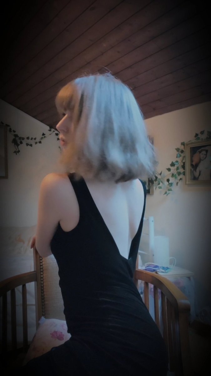 perleve 🦢 tweet media