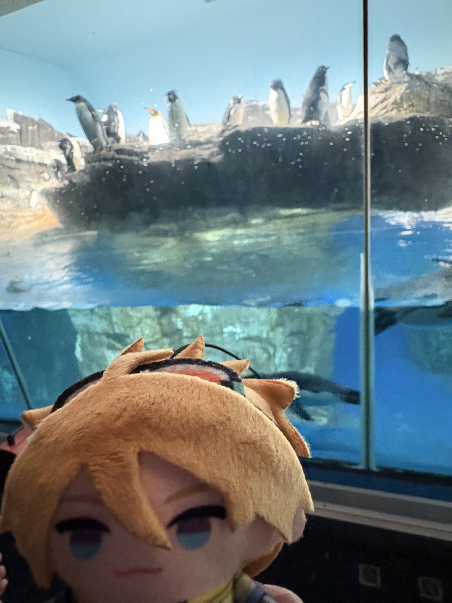 ☆๑giga charmi๑☆ tweet media