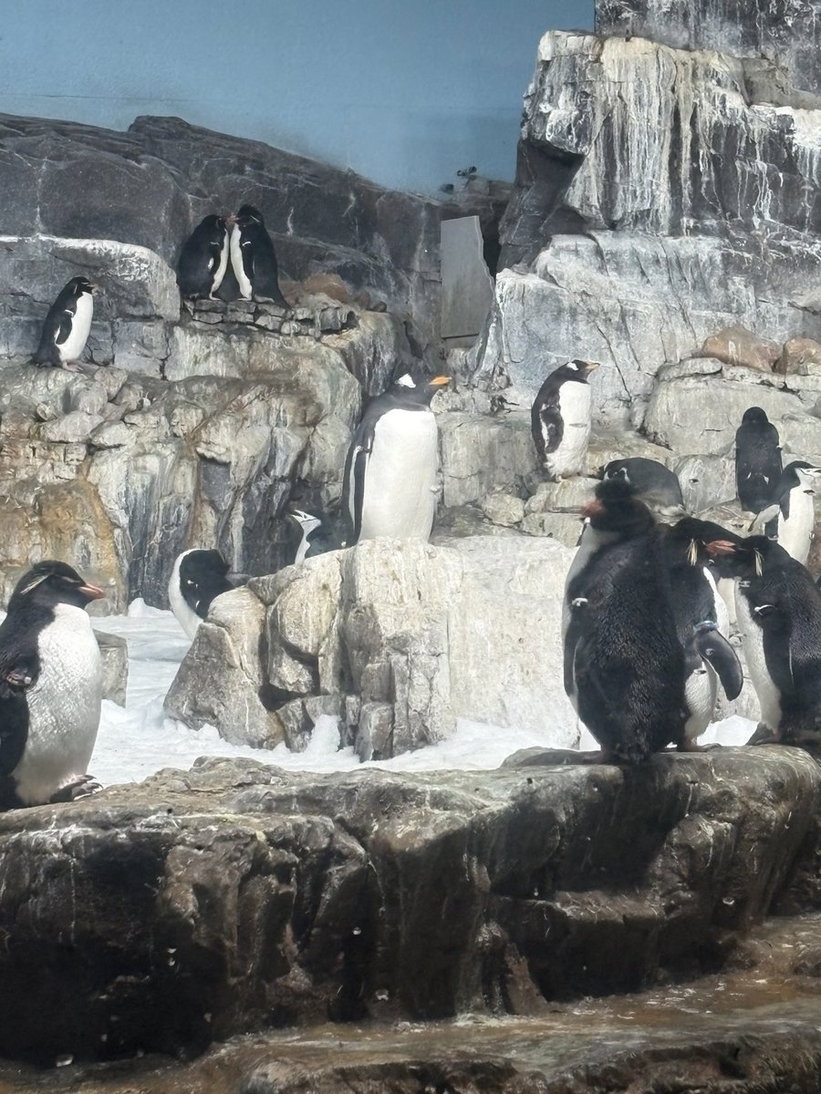 ☆๑giga charmi๑☆ tweet media