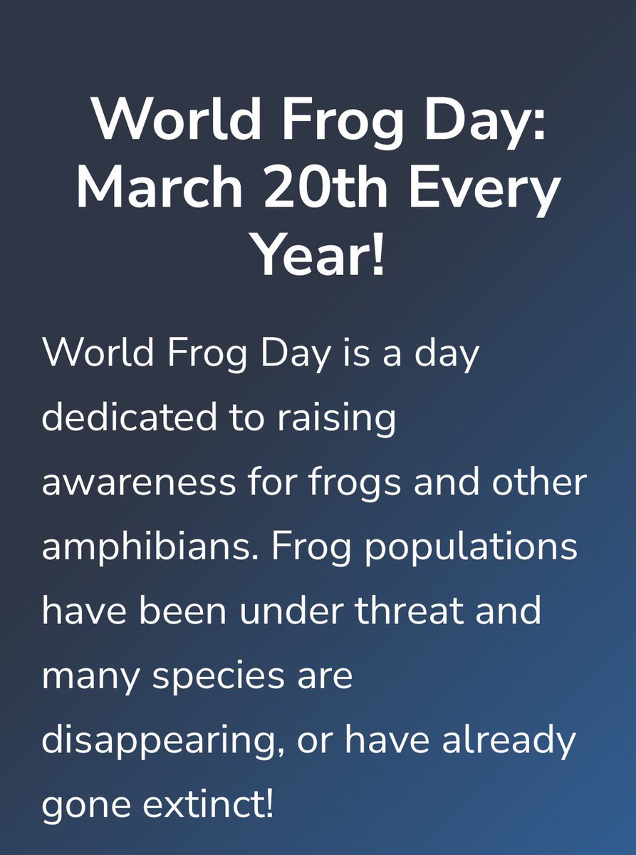 Seve 🌙 tweet media