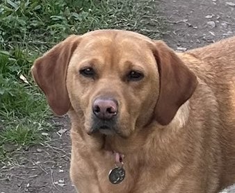 Miners'Institute tweet media