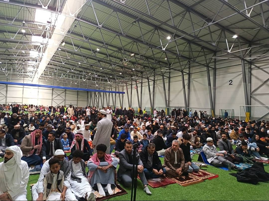 𝘱𝘵-𝘮𝘦𝘥𝘪𝘢.𝘰𝘳𝘨 tweet media