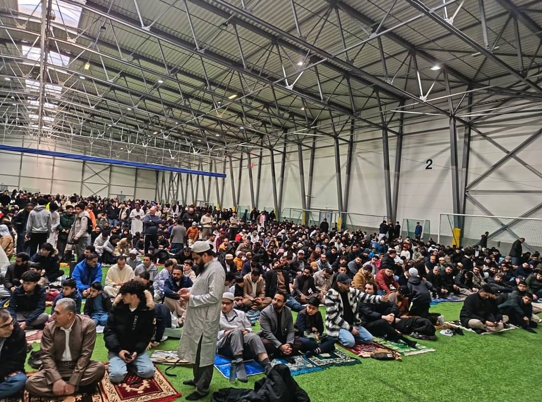 𝘱𝘵-𝘮𝘦𝘥𝘪𝘢.𝘰𝘳𝘨 tweet media