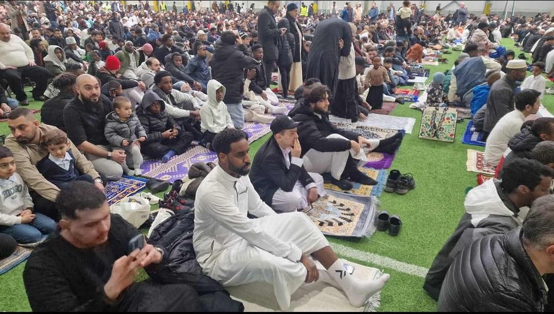 𝘱𝘵-𝘮𝘦𝘥𝘪𝘢.𝘰𝘳𝘨 tweet media