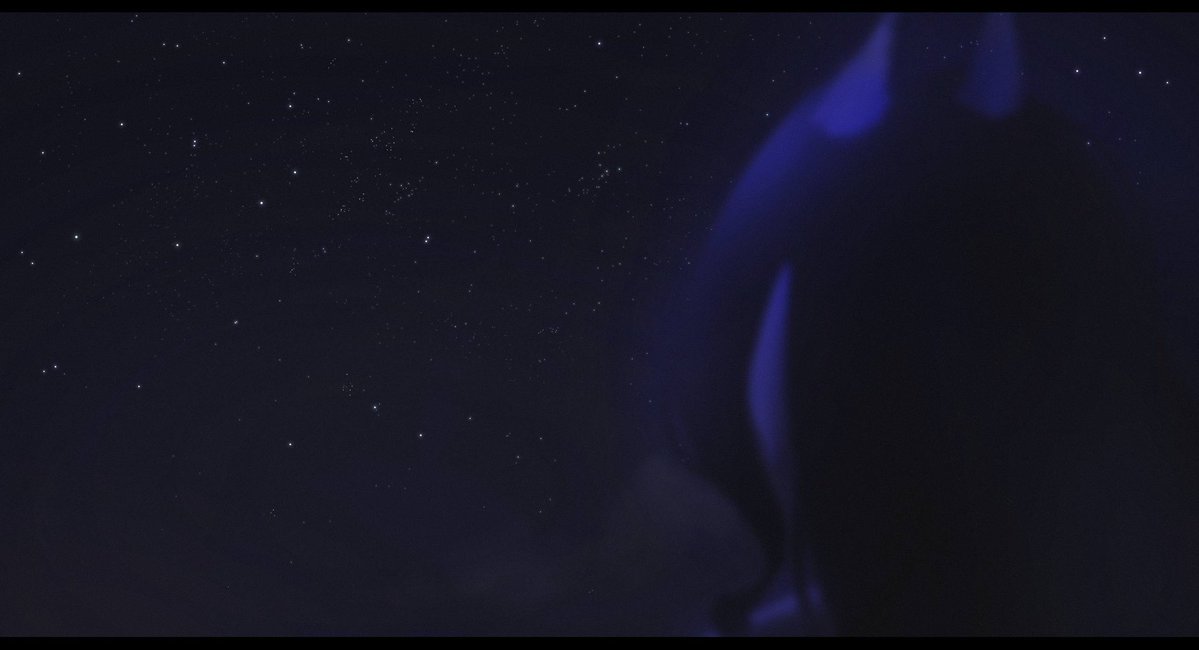 sofmala ✧ tweet media