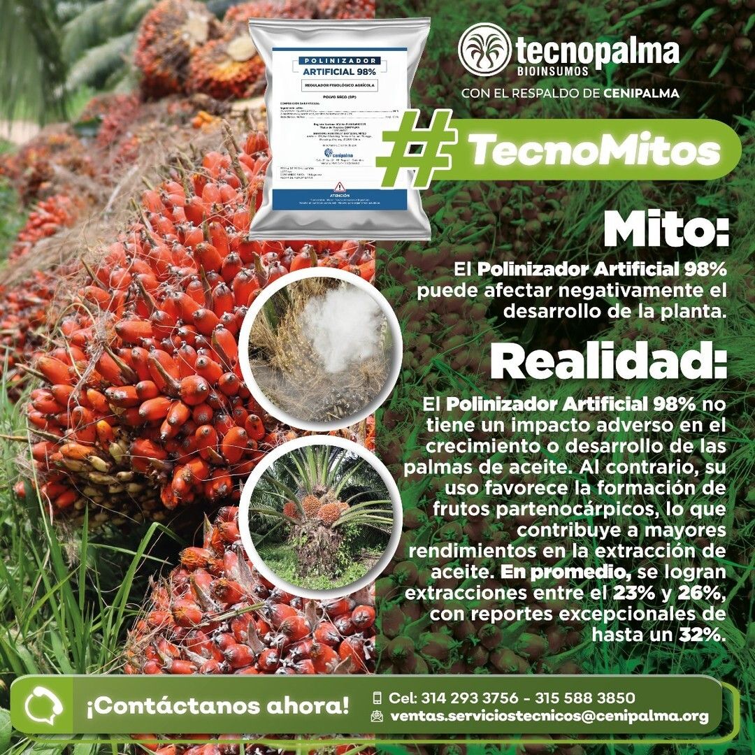 Cenipalma tweet media