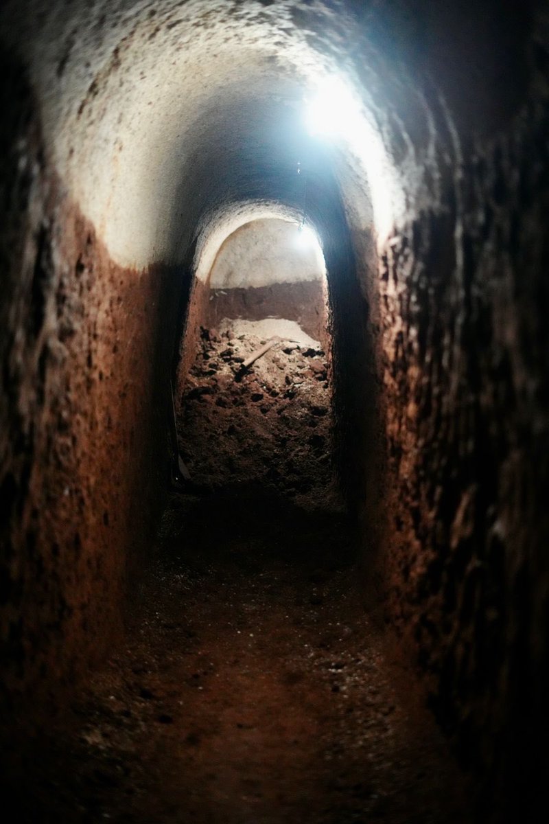 NetoBran tweet media