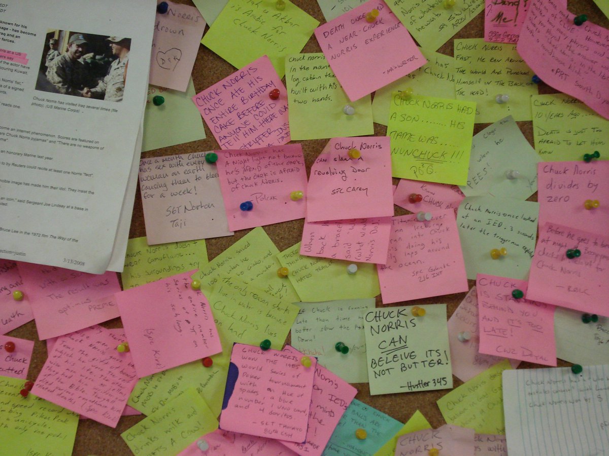 Todd Helmus tweet media