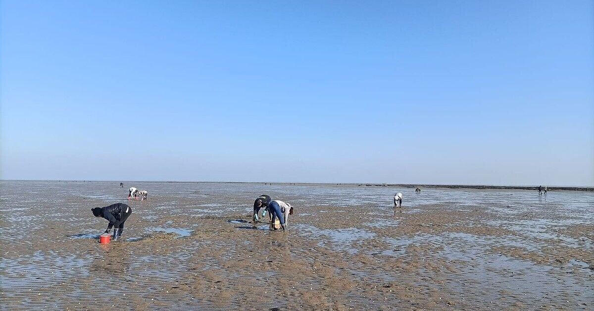 ICI Loire Océan tweet media