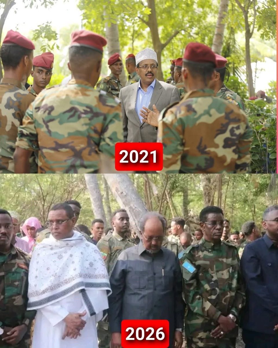 Hamza ahmed tweet media