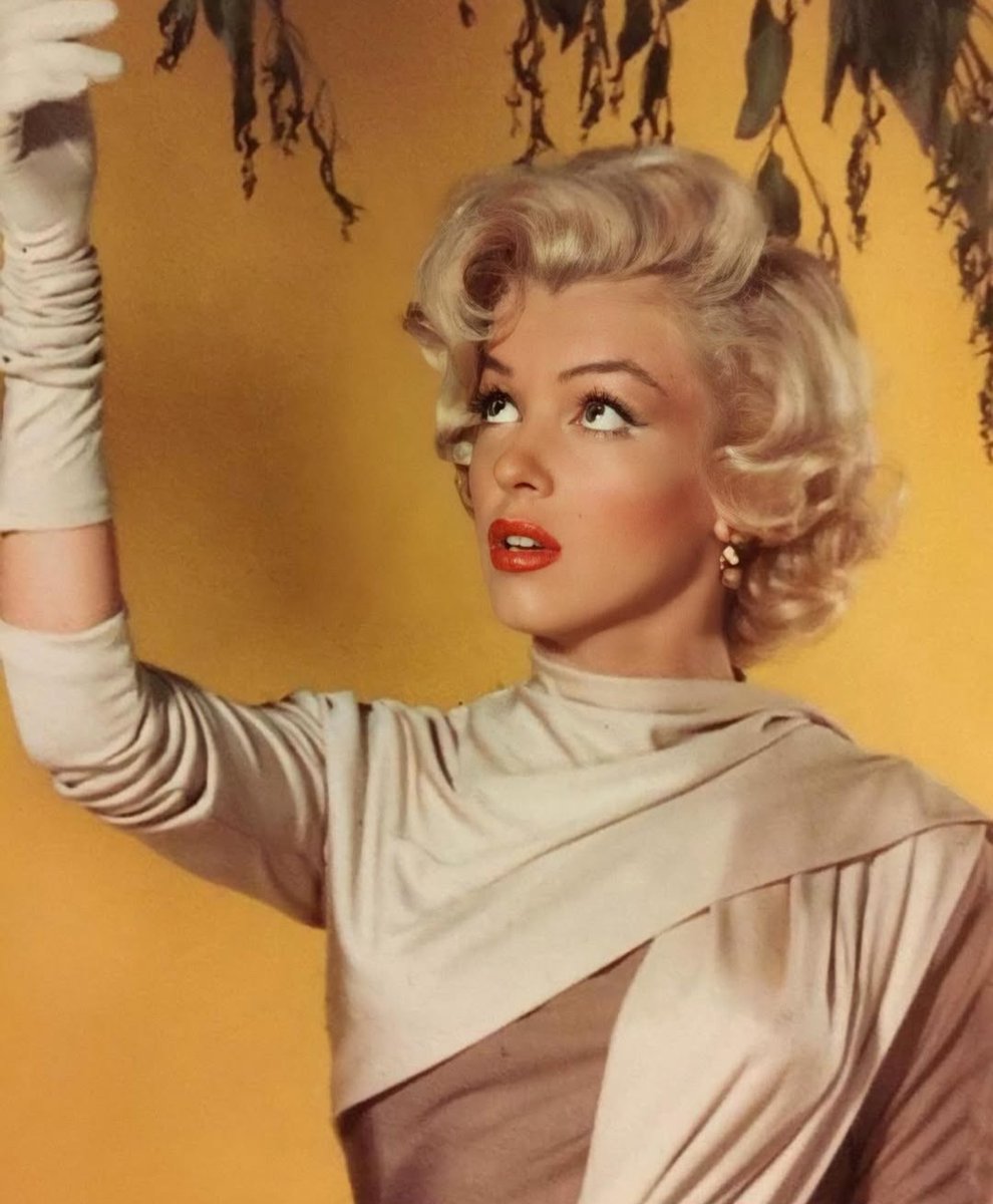 The Marilyn Diaries tweet media