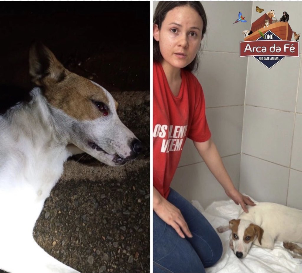 Debora Lopes tweet media