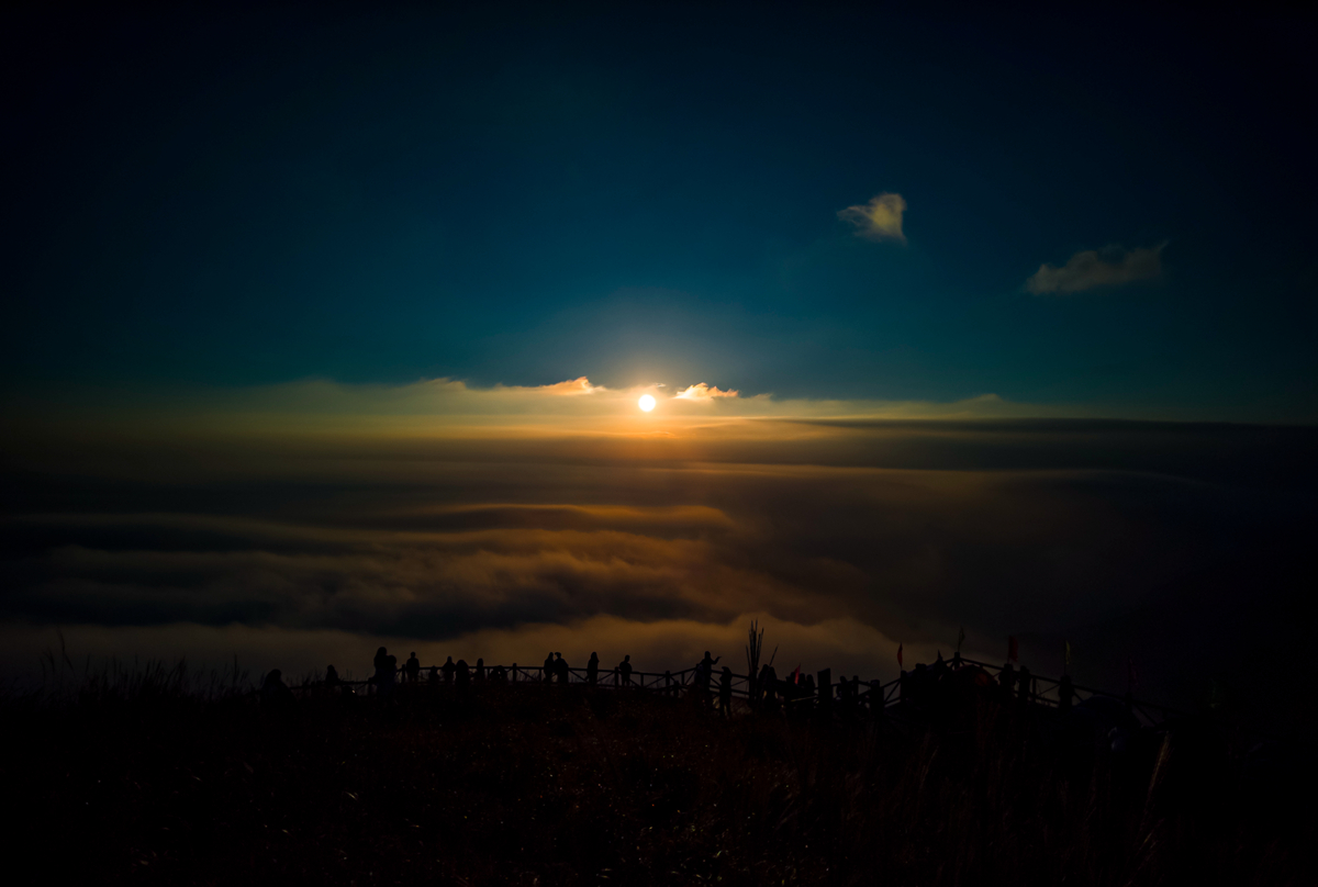 Lace dawg tweet media