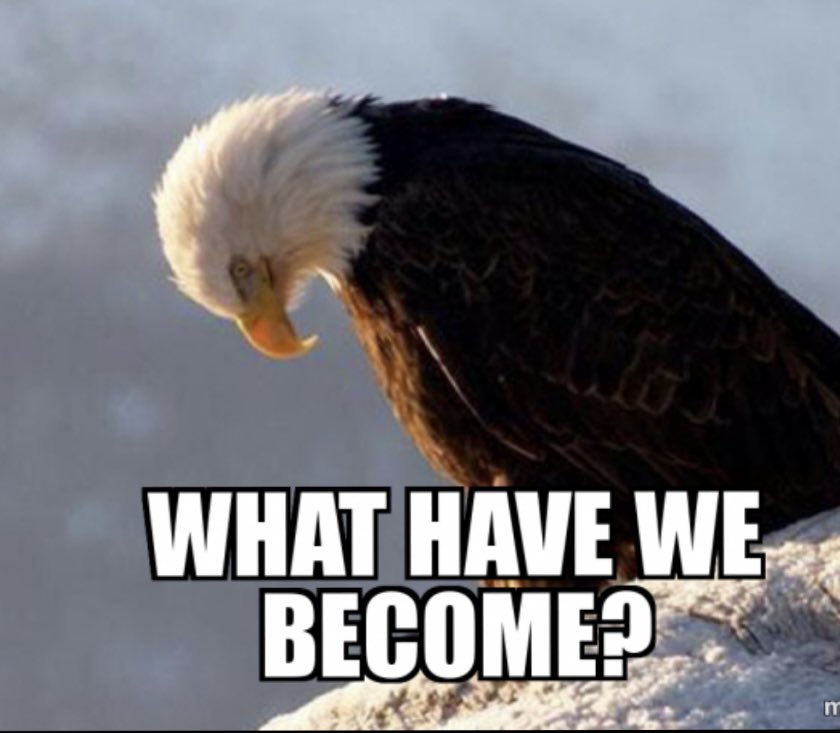 Trek3871 🟦Love Not Hate tweet media