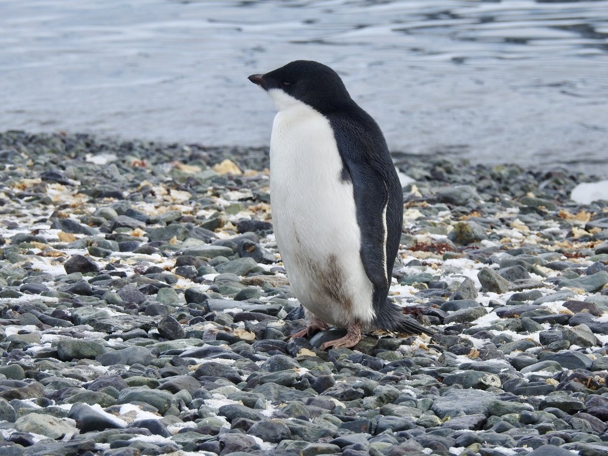 Paul Cave tweet media