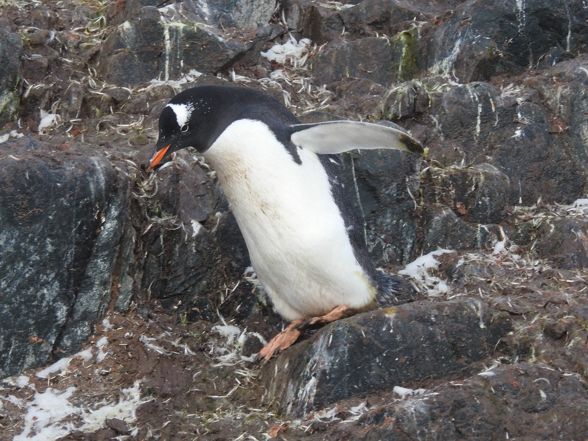 Paul Cave tweet media