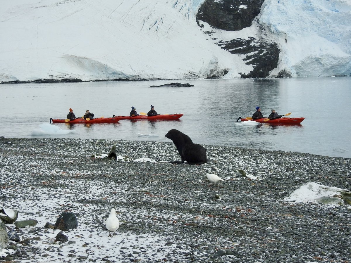 Paul Cave tweet media