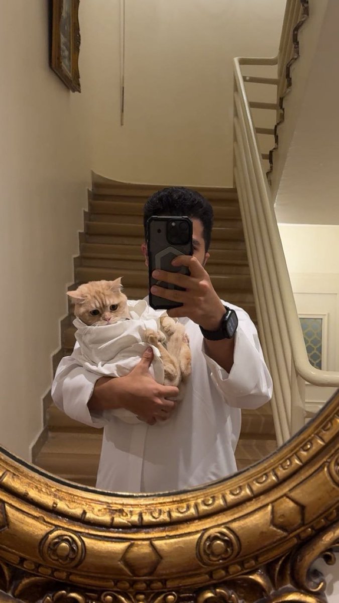 Hameed 🦇 tweet media