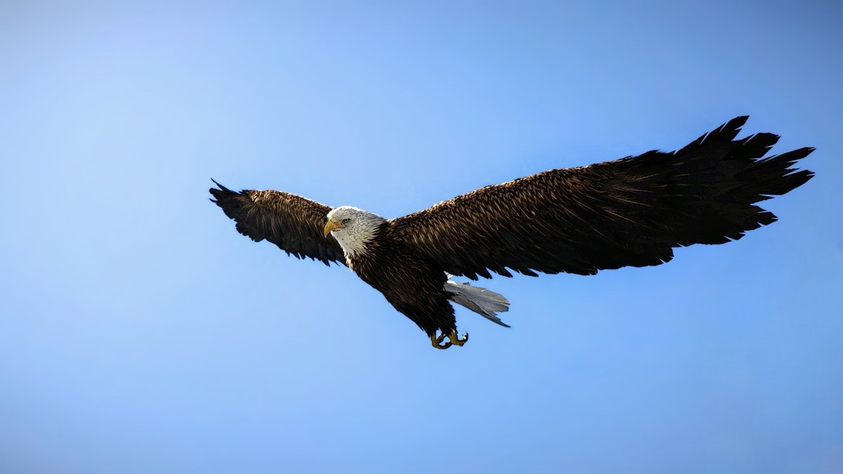 PhotoMode_Raro📷 tweet media