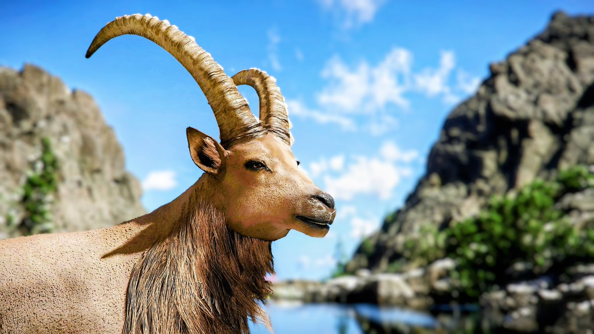 PhotoMode_Raro📷 tweet media