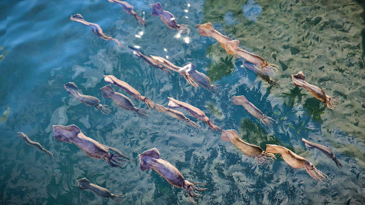 PhotoMode_Raro📷 tweet media