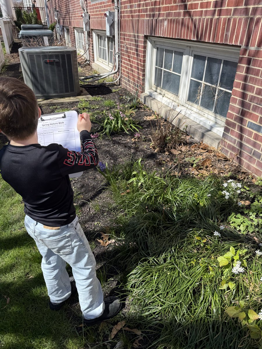 Ms. Volk tweet media