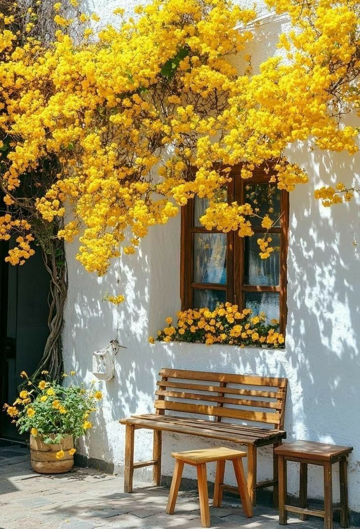 ๐๐ : ๐๐ tweet media