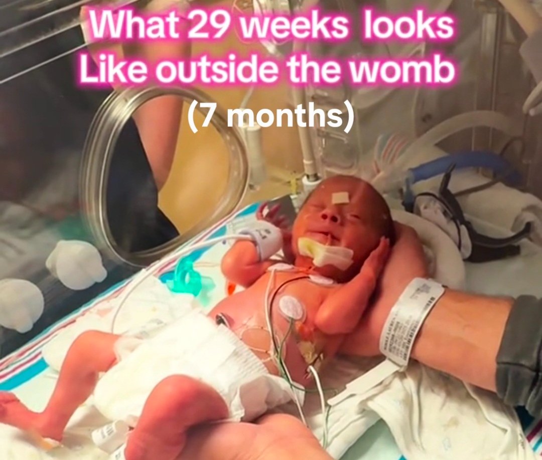 Dr Rahmeh Aladwan tweet media