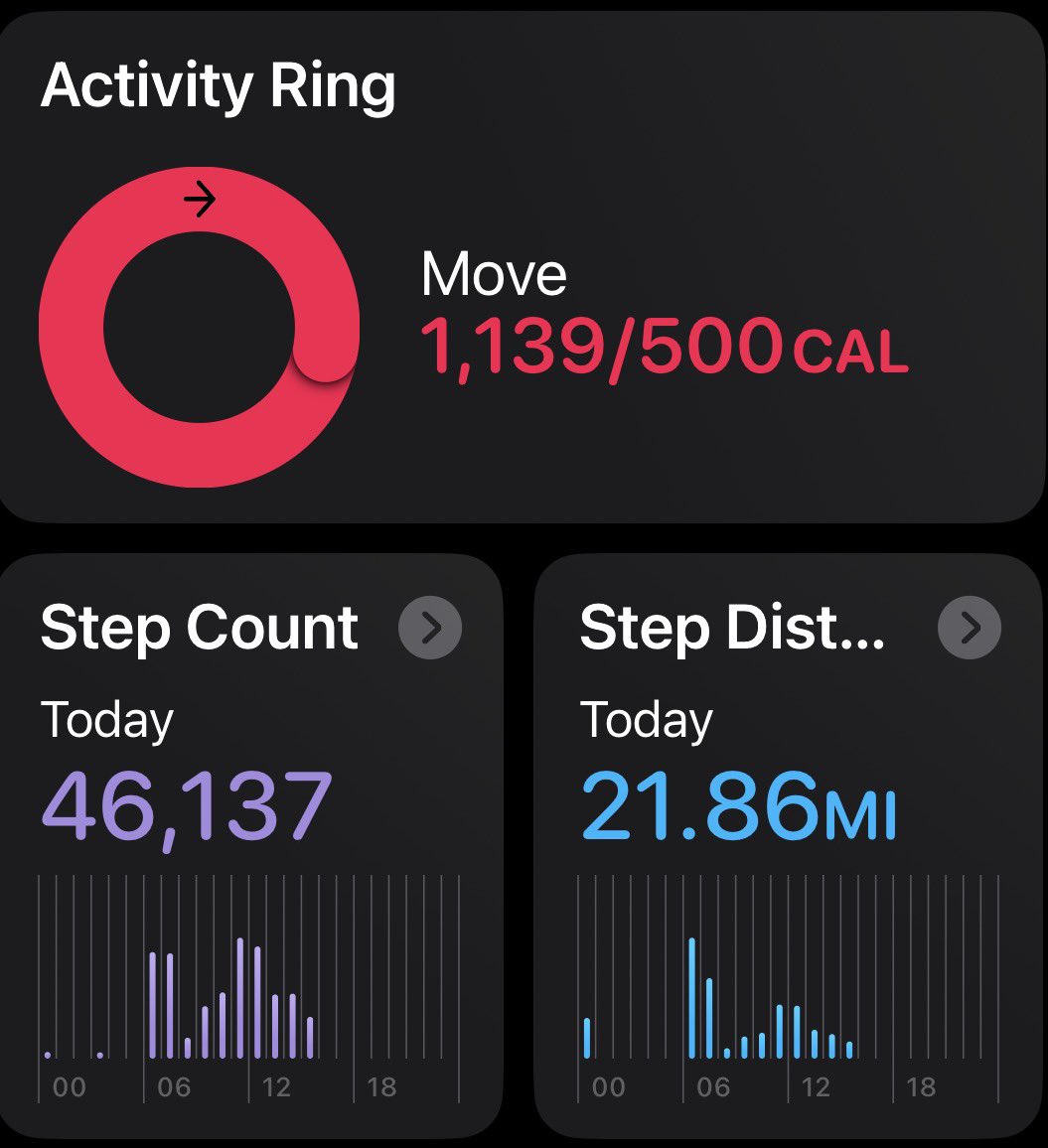 Mouse 🐭 tweet media