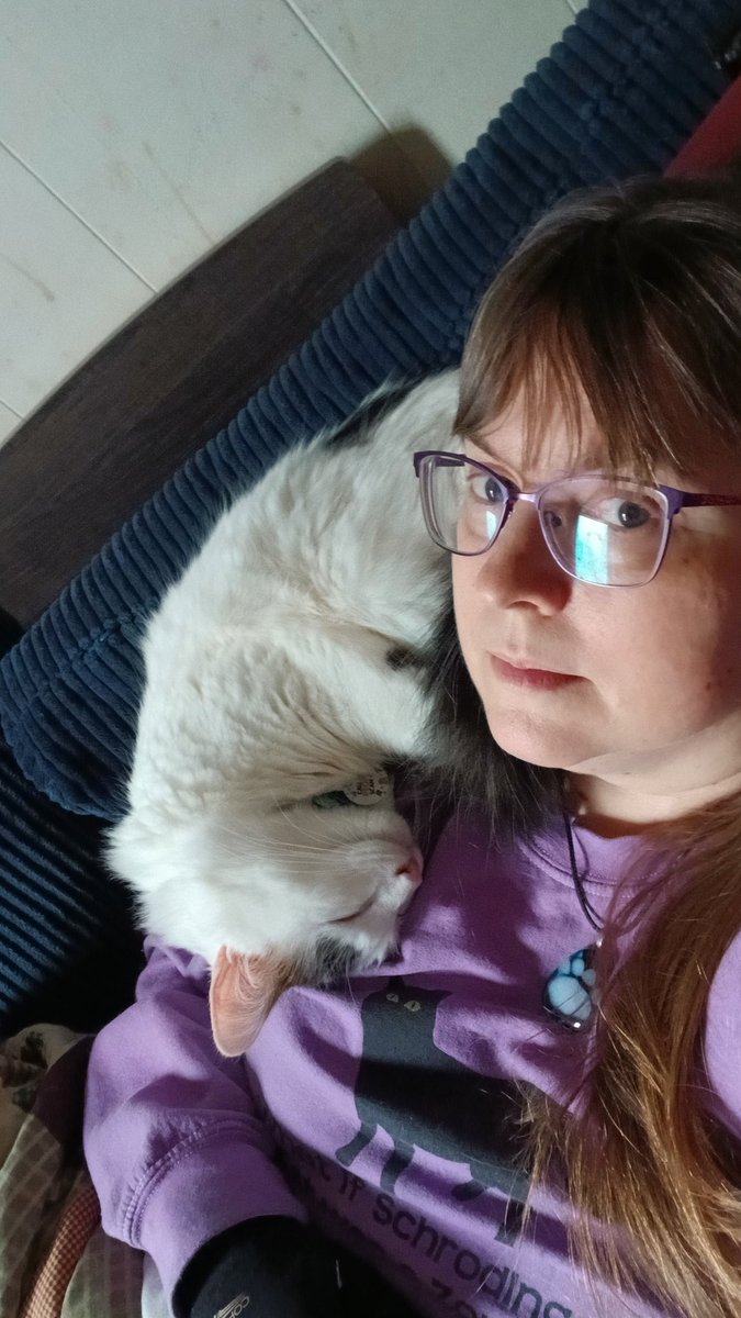 Dustiria tweet media