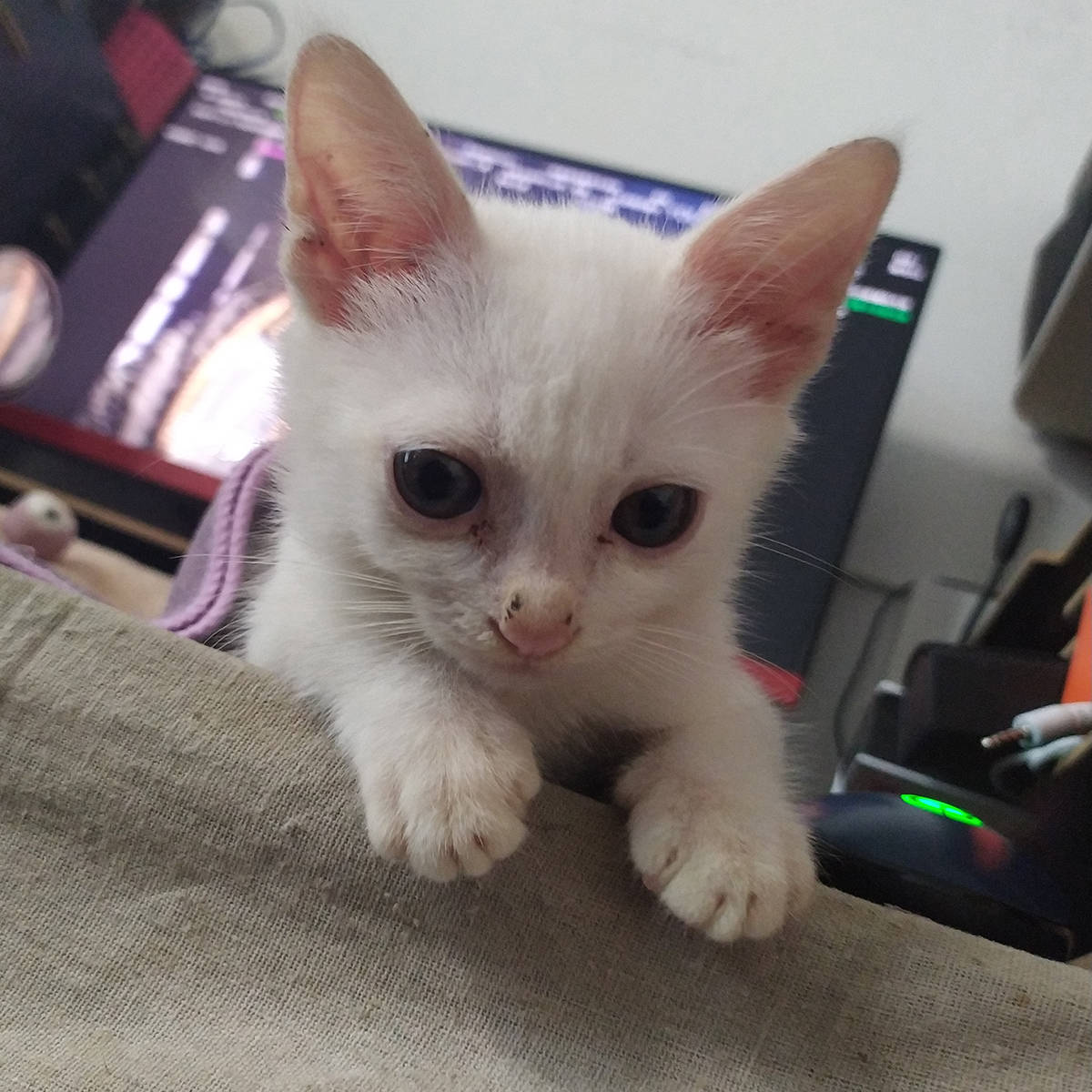 PRASHANTH tweet media