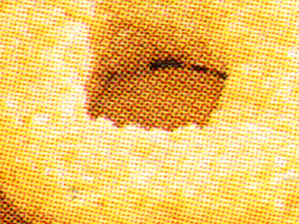 What a Fail ! tweet media